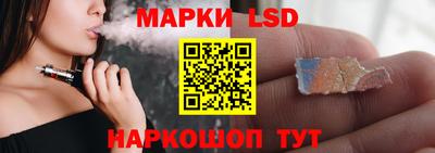 индика Вязьма