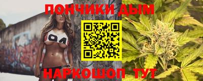 индика Вязьма